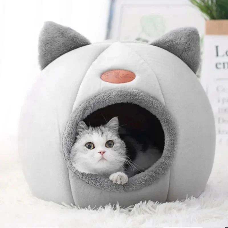 Cosy Cat Cave House