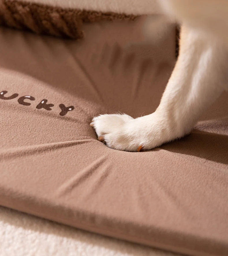 Luxury Honey! Dog House